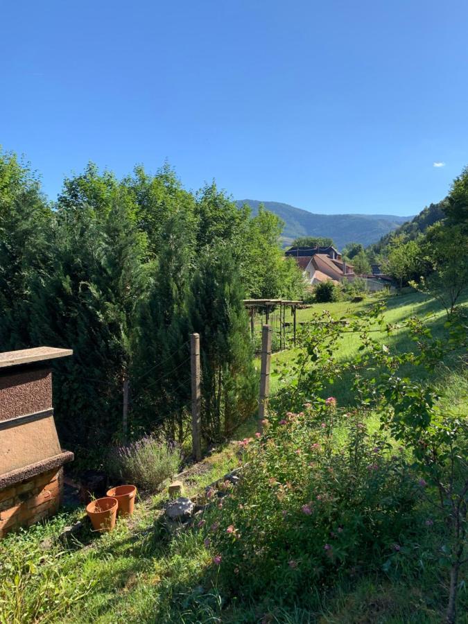 Rustique, 3pièces, Jusqu'à 6 Personnes Chalet Urbès